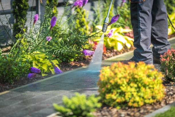 Reliable Madison, GA Pressure Washing Services Solutions